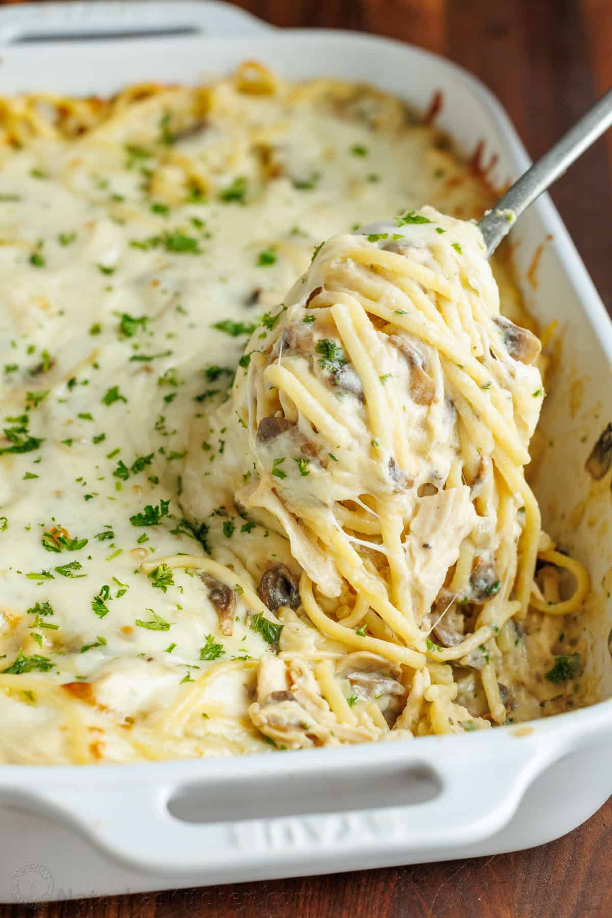 Chicken Tetrazzini with Creamy Mushroom Sauce and Mozzarella